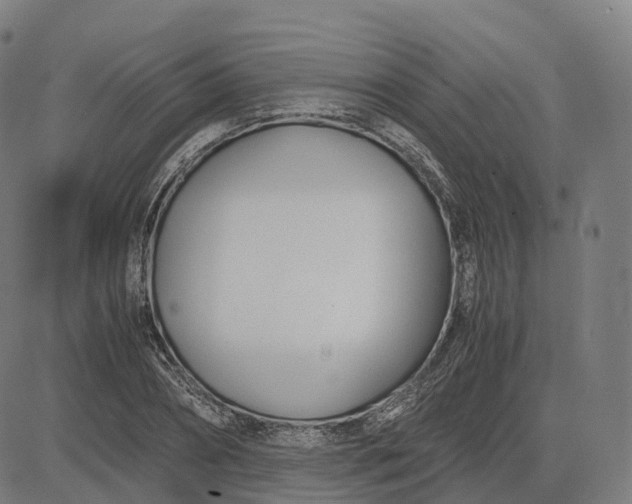 X0000083060882200702161754