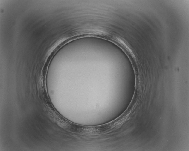 X0000083060883200702161754