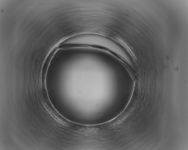 X0000083060884200702161754