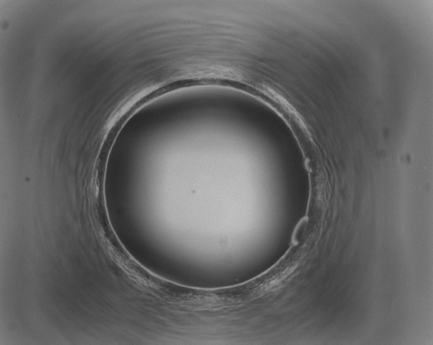 X0000083060885200702161754