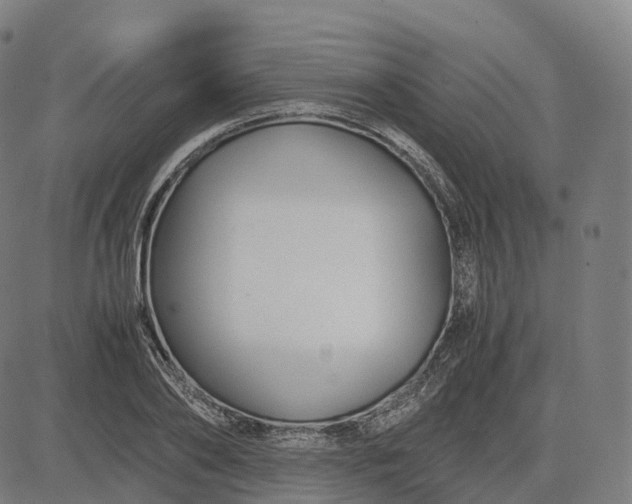 X0000083060886200702161754