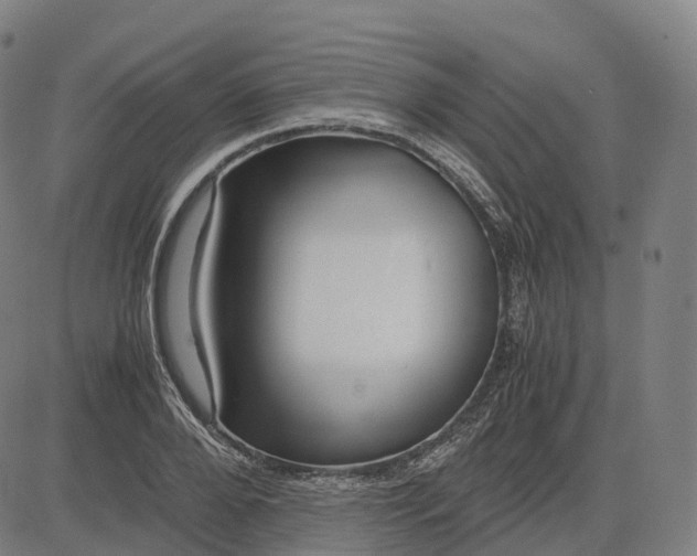 X0000083060888200702161754