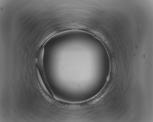 X0000083060889200702161754