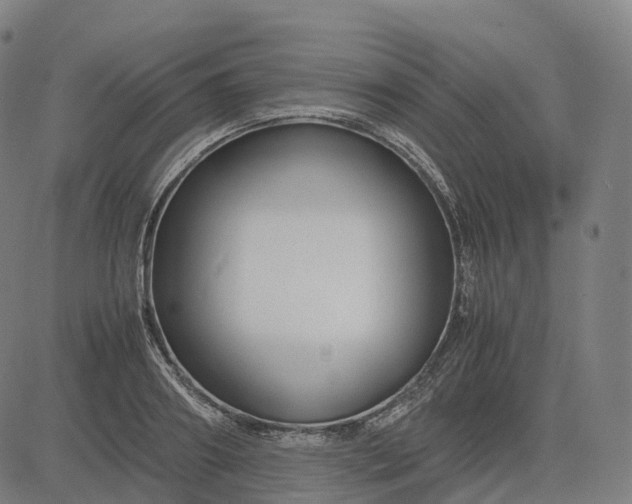 X0000083060890200702161754