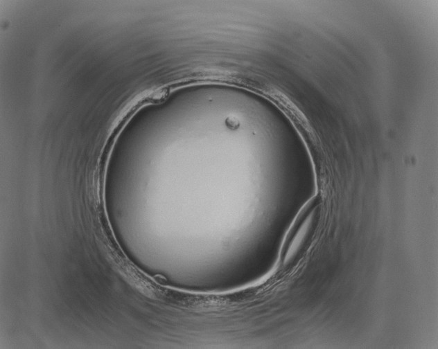 X0000083060891200702161754