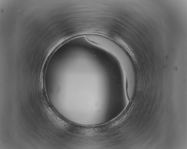 X0000083060892200702161754