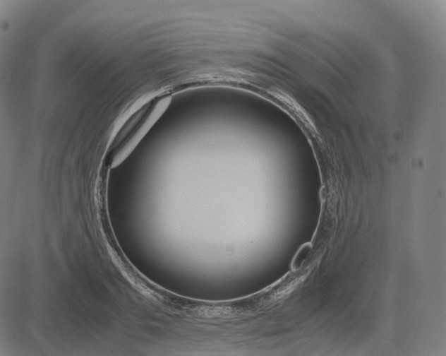 X0000083060893200702161753