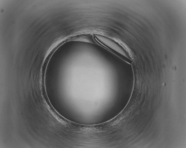 X0000083060894200702161753