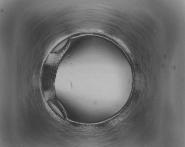 X0000083060895200702161753