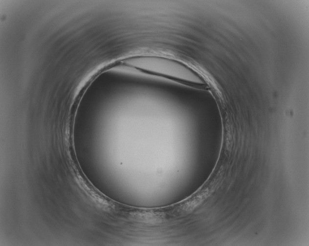 X0000083060896200702161753