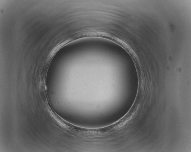 X0000083060897200702161753