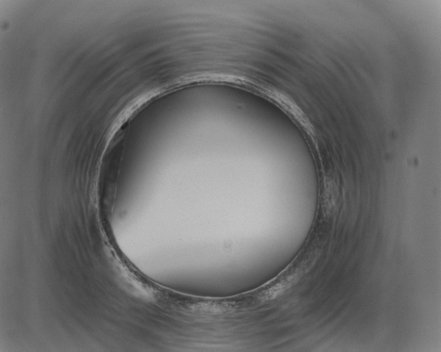 X0000083060898200702161753