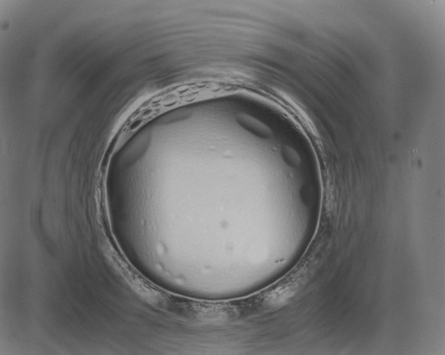 X0000083060899200702161753