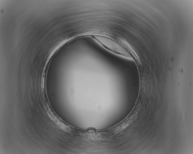 X0000083060900200702161753