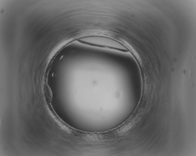 X0000083060901200702161753