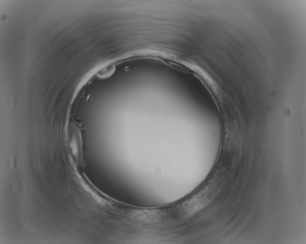 X0000083060902200702161753