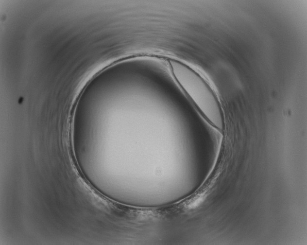 X0000083060903200702161753