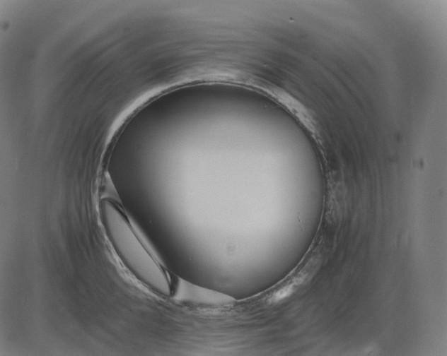 X0000083060904200702161753