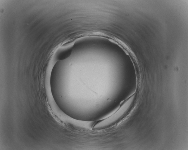 X0000083060905200702161753