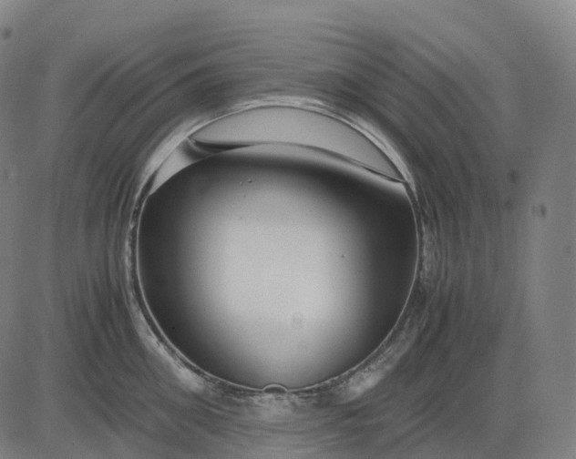 X0000083060906200702161753