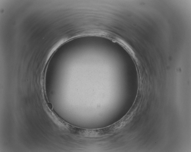 X0000083060907200702161753