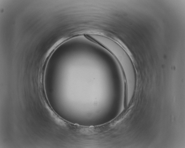 X0000083060909200702161753