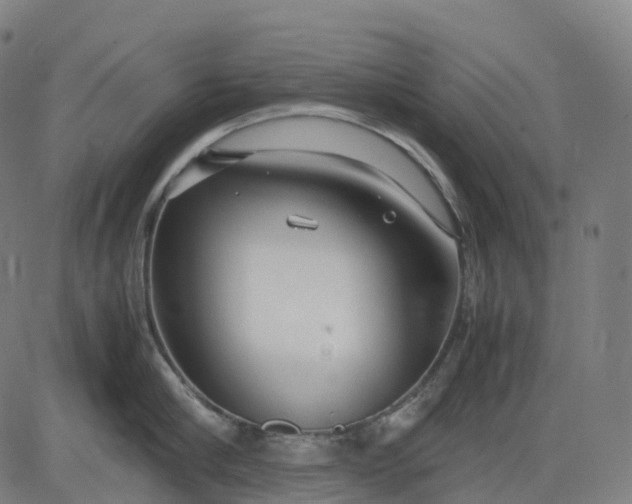 X0000083060910200702161753