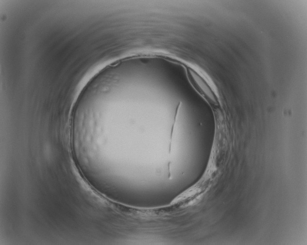 X0000083060911200702161753