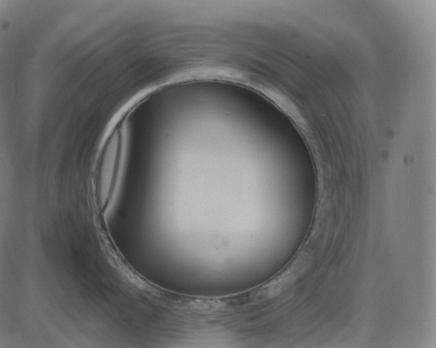 X0000083060912200702161753