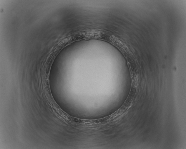 X0000083060913200702161752