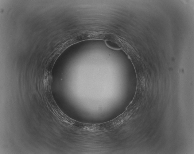 X0000083060914200702161752