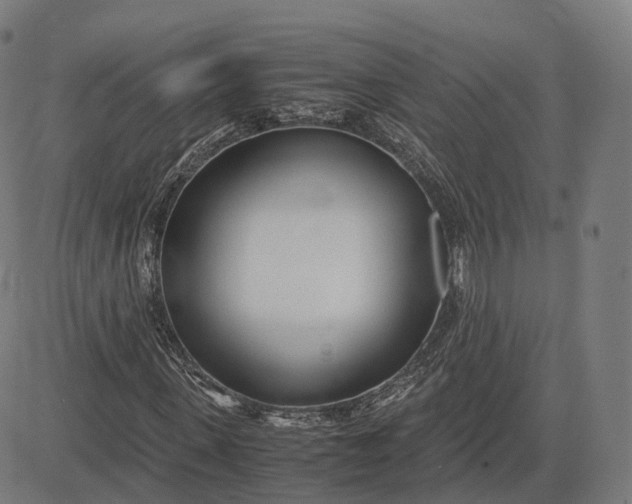 X0000083060915200702161752