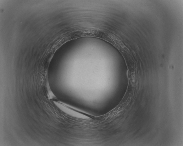 X0000083060916200702161752