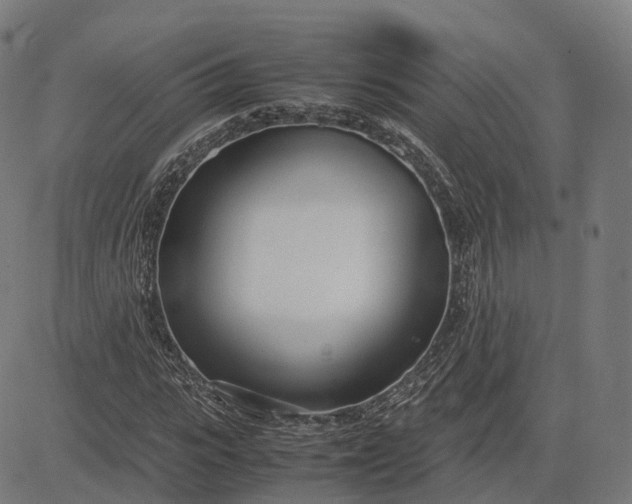 X0000083060919200702161753