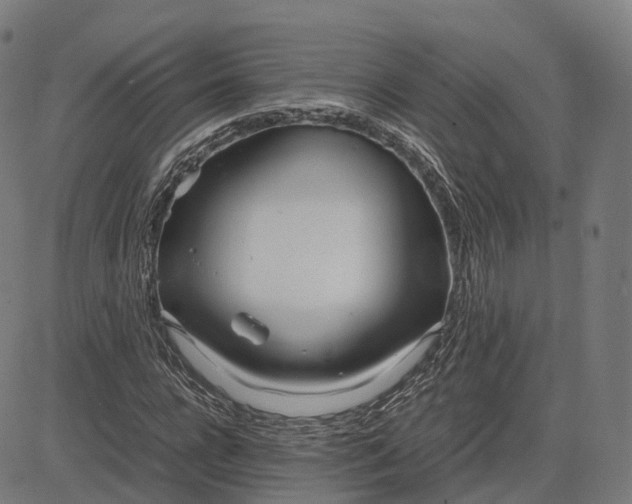 X0000083060920200702161753