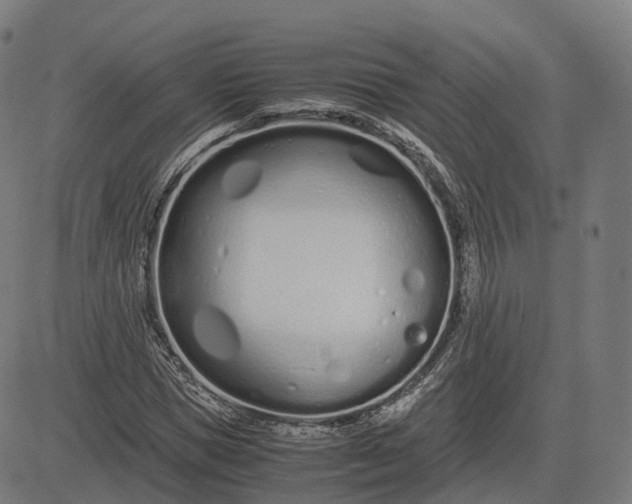 X0000083060921200702161753