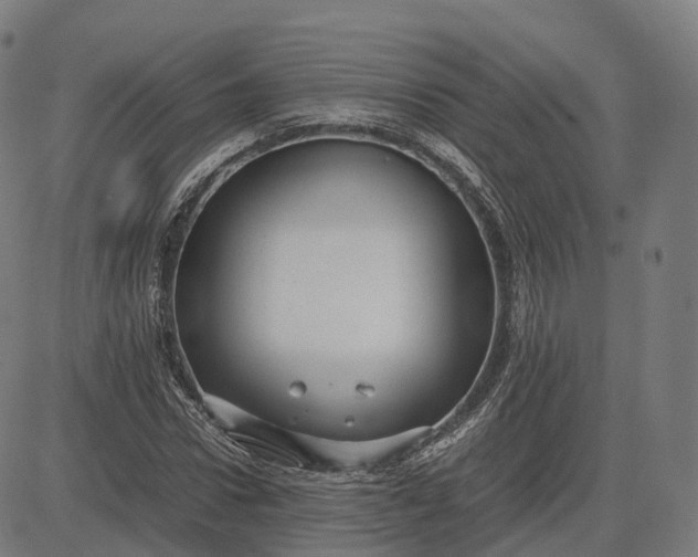 X0000083060922200702161753