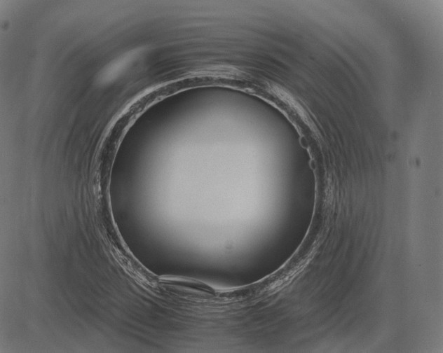 X0000083060923200702161753