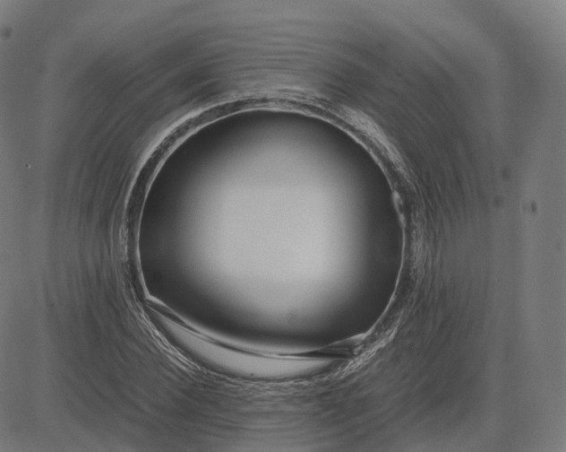 X0000083060924200702161753