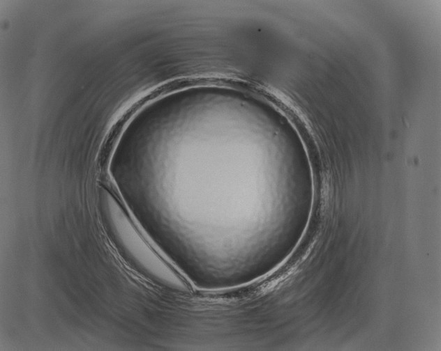 X0000083060925200702161753