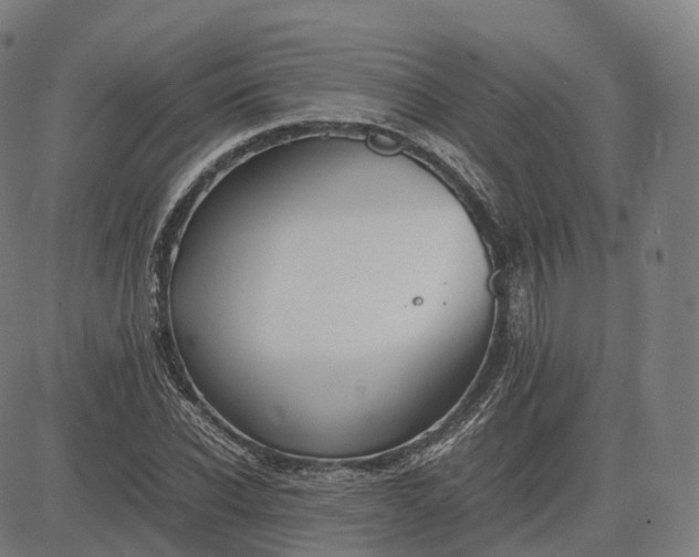 X0000083060926200702161753