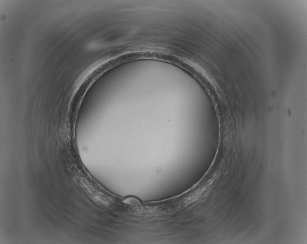 X0000083060927200702161753