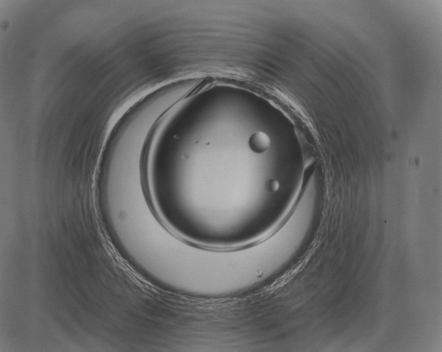 X0000083060928200702161753