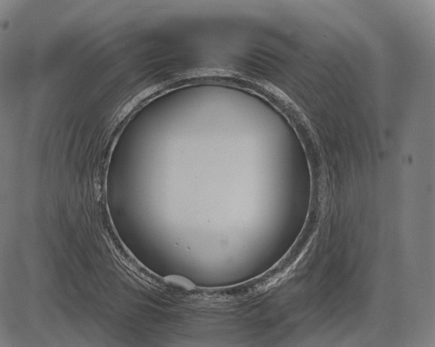 X0000083060929200702161753