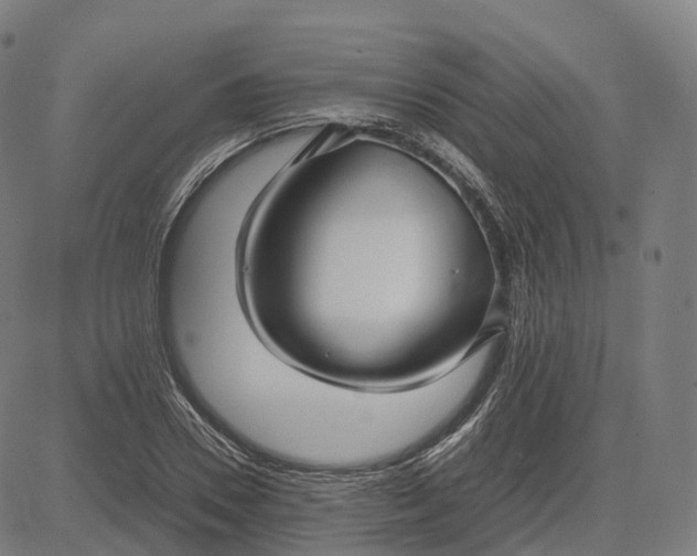 X0000083060930200702161753