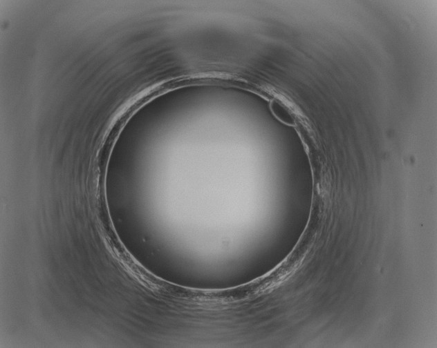 X0000083060933200702161753