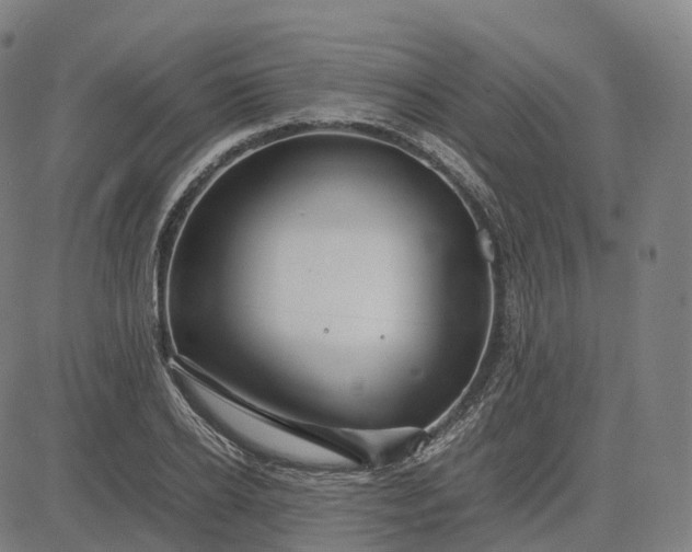 X0000083060934200702161753