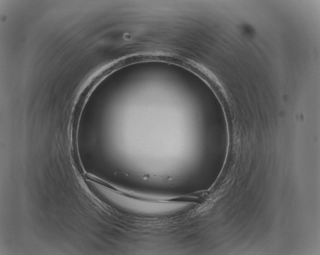 X0000083060935200702161753