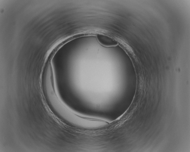 X0000083060936200702161753