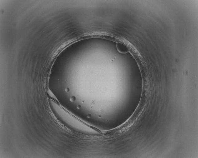 X0000083060937200702161753